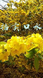 快手主播卖口水娃活赚钱吗