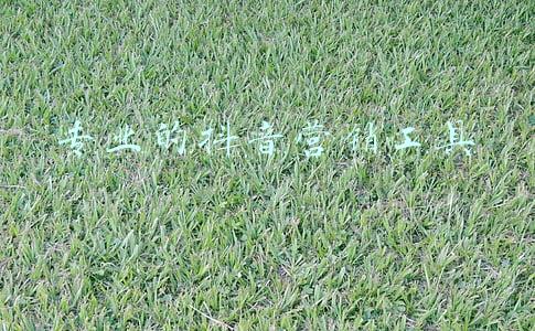 专业大数据营销工具(大数据精准营销的策略)