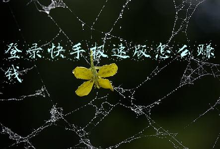 快手小店商家版登录(快手小店闪电购准入要求及发布指南)