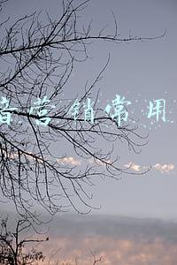 抖音营销常用bgm