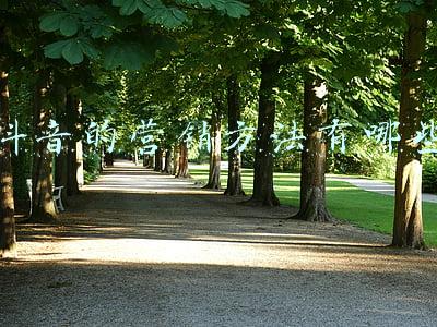 抖音的营销方法有哪些