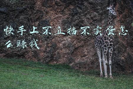 快手上怎么卖货(怎么在快手上直播卖东西，方法分享给大家)