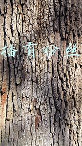 快手粉丝最多的主播(抖音粉丝160多万  快手粉丝超百万　唐山农村小伙“水城余哥”执着逆袭成“直播网红”)