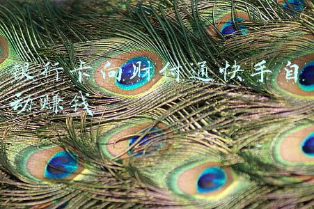财付通(外汇业务违规整治力度加大：财付通、中信证券等多家机构被罚)