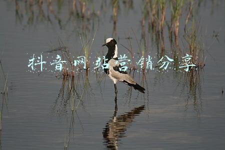 建筑案例分享网站(专业建筑设计师必备的12个网站，不收藏你会后悔)