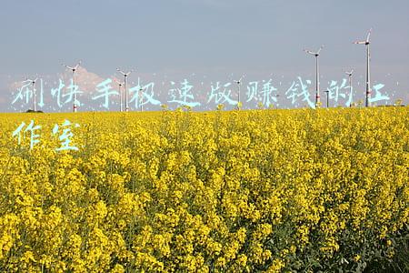 刷快手极速版赚钱的工作室