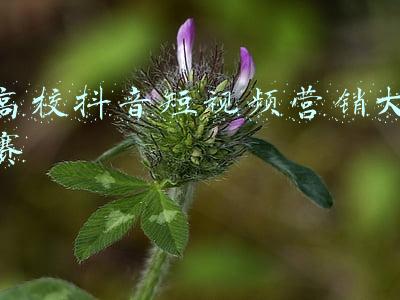 大学生抖音短视频大赛策划案(“合肥打卡游”主题抖音短视频大赛等你来投稿)