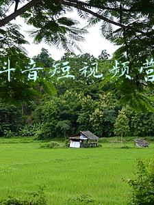 高校抖音短视频营销大赛