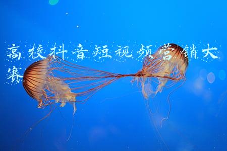 高校抖音短视频营销大赛
