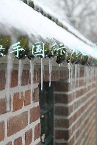 类似快手国际版赚钱软件