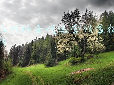 抖音电商运营招聘(月薪过万！浙江湖州法华寺招聘抖音短视频编导！要求还不低)