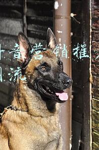 佛山抖音营销推广平台怎么引流