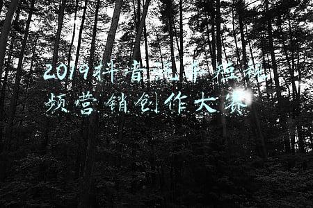 抖音短视频大赛活动宣传(“强国有我，不负青春”抖音短视频大赛等你来参与)