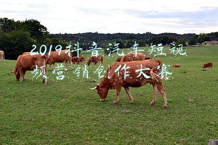 抖音短视频大赛策划案(抖音挑战赛案例「电商快消」，告诉你怎么做好挑战赛营销策划)
