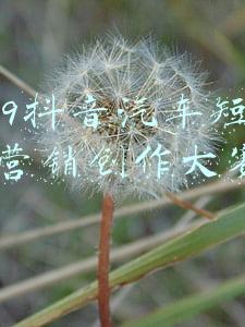 汽车营销技能大赛(全国汽车流通行业职业技能竞赛决赛成功举办)