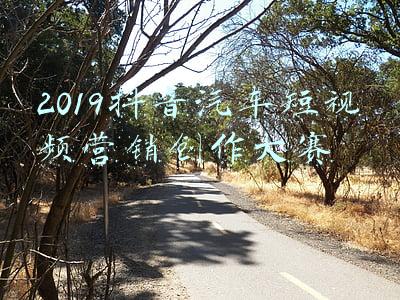 全国汽车营销大赛视频(汽车品牌“星”势力出炉，抖音汽车嘉年华经销商大赛公布大奖赢家)