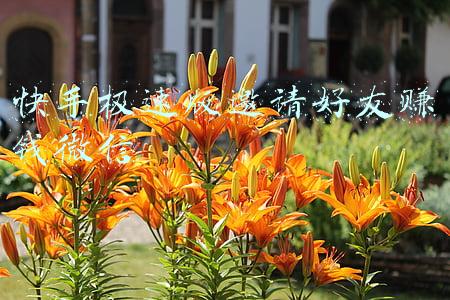 快手极速版邀请好友赚钱微信
