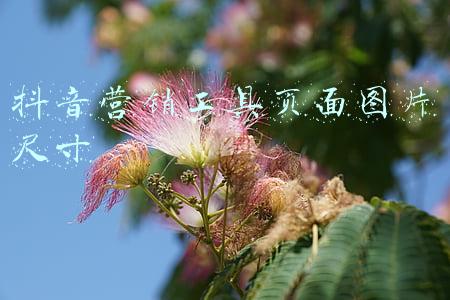 前端页面设计工具(掏空收藏夹！22个实用的前端工具全在这了)