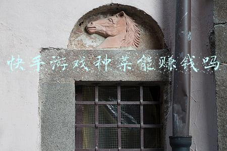 可以挣钱的手机游戏 种菜的(手机上种菜养花挣现金的套路)