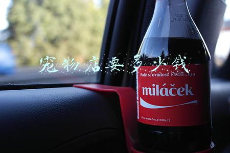 开个宠物店要多少钱 投资一个宠物店需要多少钱