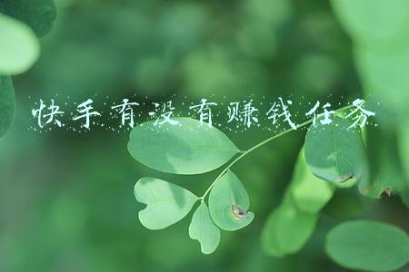 快手有没有赚钱任务