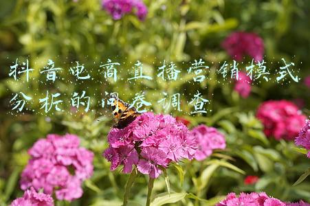 电商直播问卷调查(李佳琦、薇娅、罗永浩…直播电商的产品、服务靠谱吗？请你填问卷)