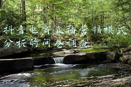 跨境电商问卷调查(如何在国外问卷调查平台上完成问卷调查？AdsPower助卖家跨境出海)