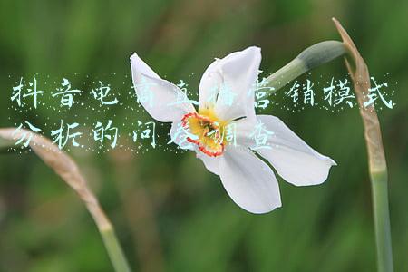 抖音电商直播营销模式分析的问卷调查