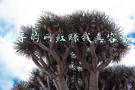 快手网红洗面奶(快手直播卖货江湖：便宜的面子 以及漫天飞舞的牌子货)