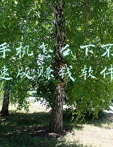 苹果手机下划线怎么打(原来iPhone手机自带7个实用技巧，小功能、大作用，也太好用了)