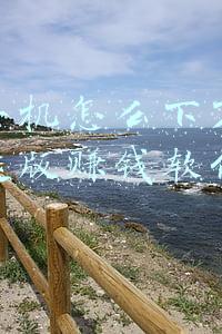 苹果手机怎么下不了快手极速版赚钱软件尼