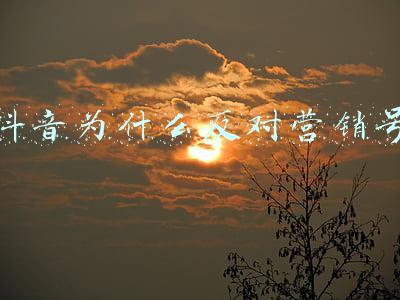抖音为什么反对营销号