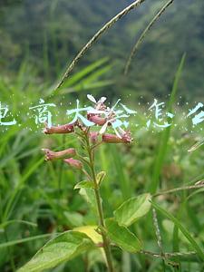 快手电商数据(1758亿，猛增超86%！快手电商三季报数据亮了！今年刚宣布3个大动作)