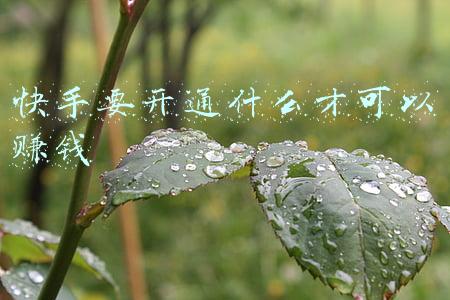 快手如何开通分销(​快手发动「分销飞轮」)
