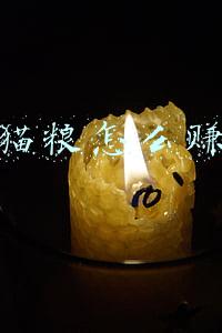 快手猫粮怎么赚钱的