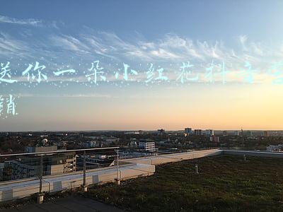 送你一朵小红花抖音营销