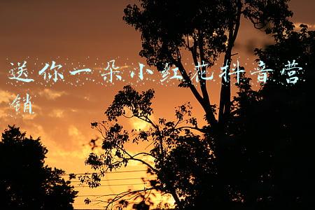 送你一朵小红花抖音营销