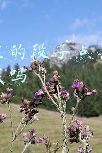 毕业档案在自己手里(毕业档案在自己手里的怎么办)