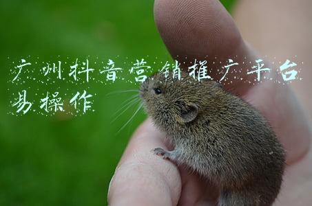 广州网络推广平台(广州装修接单平台有哪几个呢？)