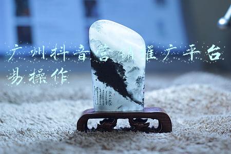 广州抖音营销推广平台易操作