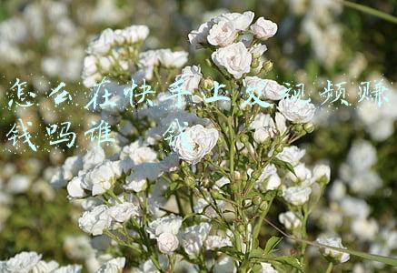 流量怎么赚钱谁给钱(逆向思维：流量就是赚钱密码 谁掌握谁就可以开箱取钱)