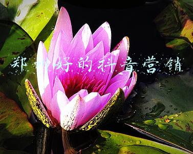 郑州抖音运营(“双减”政策下 郑州多家教培机构已布局“素质教育”，或会大幅缩减校区)
