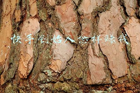 快手怎么创业(研究生在快手的创业之路)