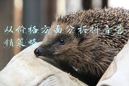 广告促销方面的策略(户外广告营销的10大新策略)