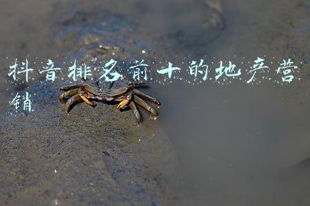 抖音排名前十的地产营销