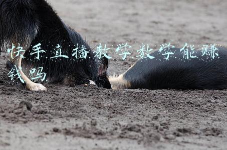 快手直播教学数学能赚钱吗
