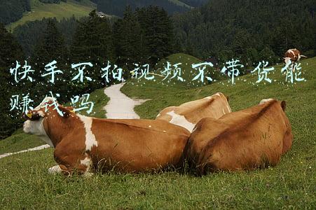 快手不拍视频不带货能赚钱吗