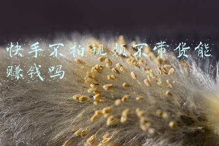 快手不拍视频不带货能赚钱吗