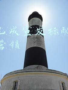 抖音已成宣发标配怎么检测营销