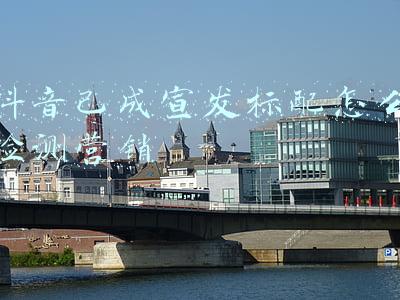 影视制作宣发合同(因电影《爸爸的假期》，王岳伦工作室被判返还横店影视制作有限公司宣发费250万元)